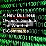 A New Business Owners Guide to The World of E-Commerce